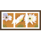 Floral Art Paintings (FHT-912)